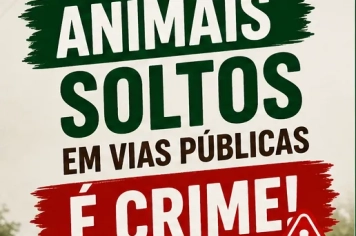 Animais soltos em vias públicas é crime e coloca vidas em risco.