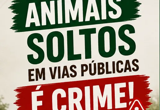 Animais soltos em vias públicas é crime e coloca vidas em risco.